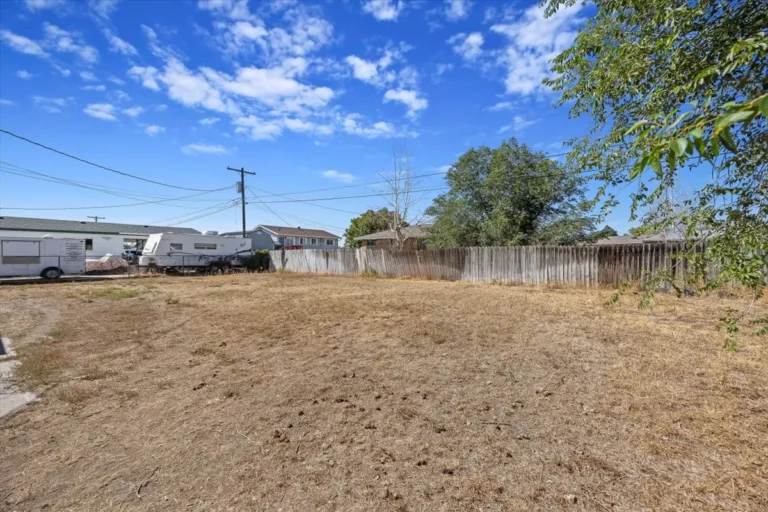 Large backyard with dry grass and a wood fence