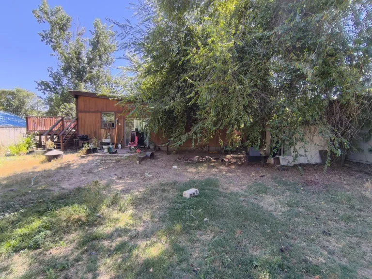 Overgrown backyard with a wood shed