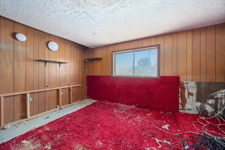 Wood-paneled room with worn red carpet